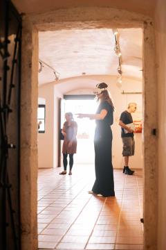 MR DOZIVETJE-interaktivni grad Podsreda_3